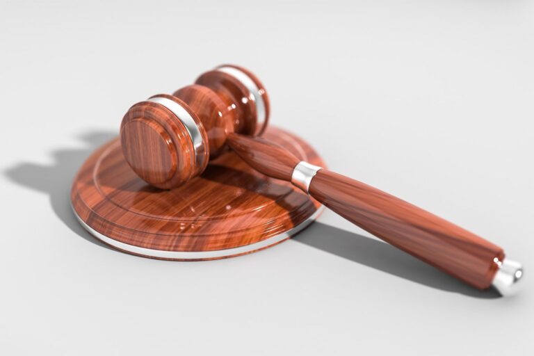 TheJudgmentAct-Self-Motivation Judgment act