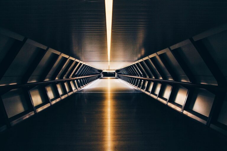 FutureUnpredictability-Self-Motivation Future unpredictability