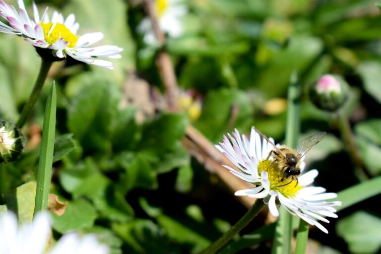 SM-Rediscover-your-optimism-through-the-spring-purity spring purity